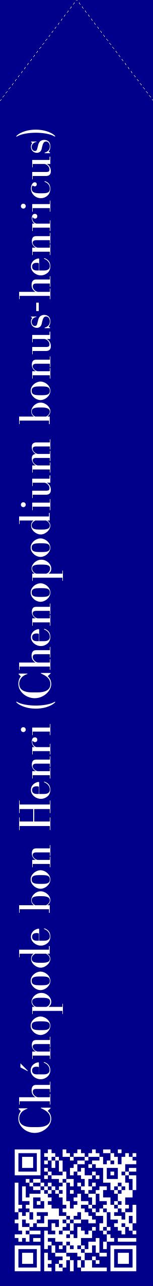 Étiquette de : Chenopodium bonus-henricus - format c - style blanche7_simplebod avec qrcode et comestibilité