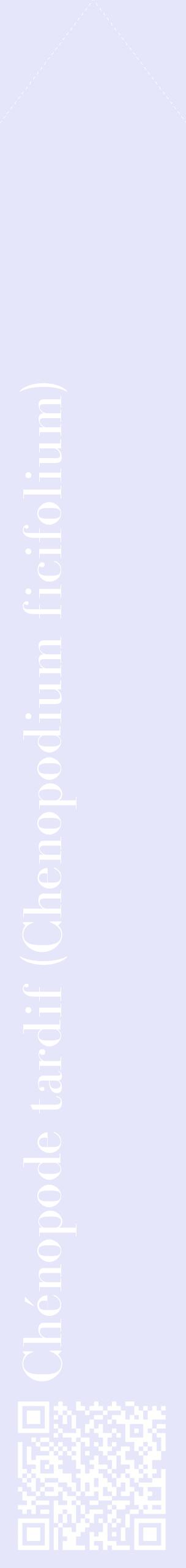 Étiquette de : Chenopodium ficifolium - format c - style blanche55_simplebod avec qrcode et comestibilité