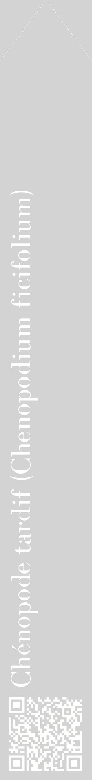 Étiquette de : Chenopodium ficifolium - format c - style blanche56_simplebod avec qrcode et comestibilité