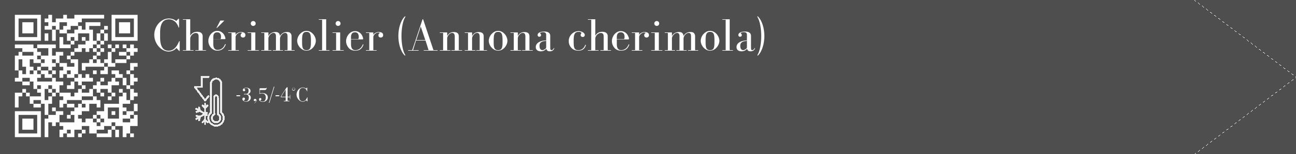 Étiquette de : Annona cherimola - format c - style blanche33_simple_simplebod avec qrcode et comestibilité