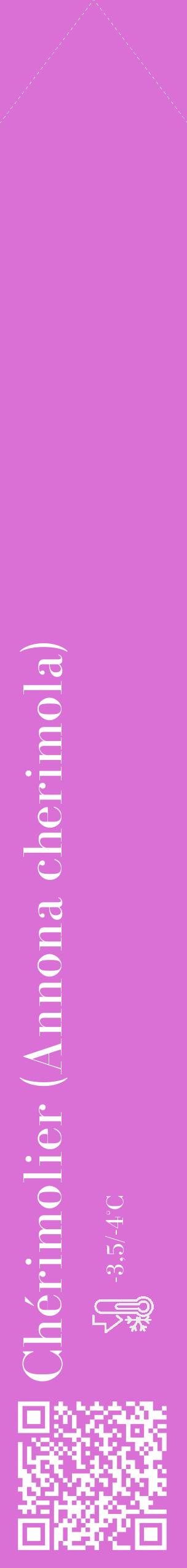 Étiquette de : Annona cherimola - format c - style blanche52_simple_simplebod avec qrcode et comestibilité - position verticale