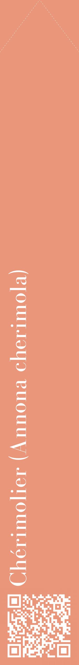 Étiquette de : Annona cherimola - format c - style blanche37_simplebod avec qrcode et comestibilité