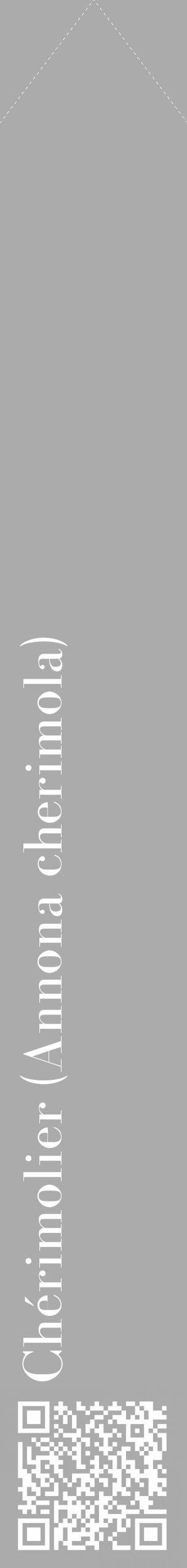 Étiquette de : Annona cherimola - format c - style blanche37_simple_simplebod avec qrcode et comestibilité - position verticale