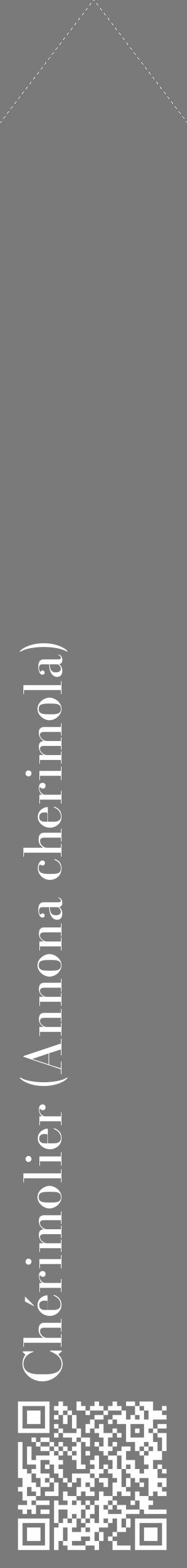 Étiquette de : Annona cherimola - format c - style blanche3_simple_simplebod avec qrcode et comestibilité - position verticale