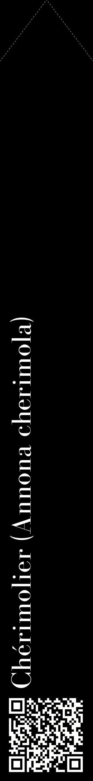Étiquette de : Annona cherimola - format c - style blanche59_simplebod avec qrcode et comestibilité