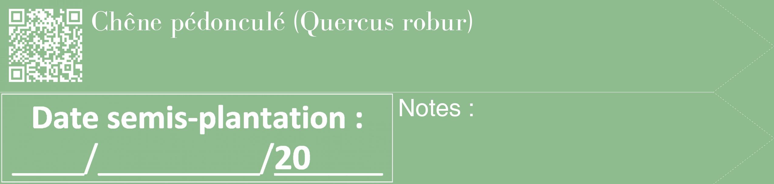 Étiquette de : Quercus robur - format c - style blanche13_simple_simplebod avec qrcode et comestibilité