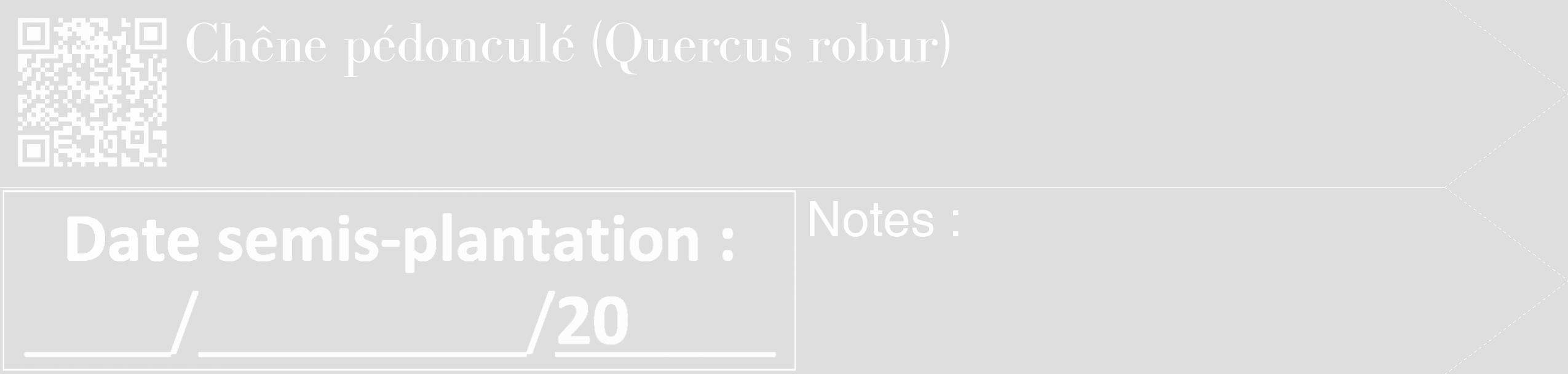 Étiquette de : Quercus robur - format c - style blanche20_simple_simplebod avec qrcode et comestibilité