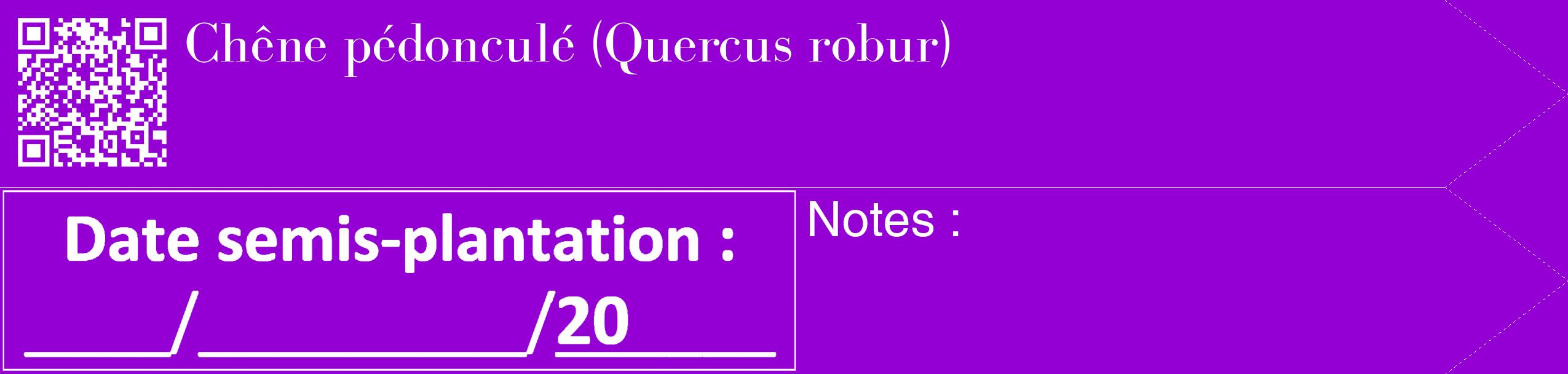 Étiquette de : Quercus robur - format c - style blanche48_simple_simplebod avec qrcode et comestibilité