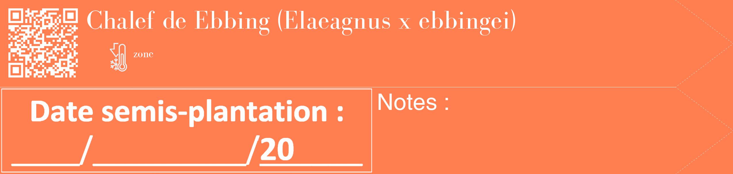 Étiquette de : Elaeagnus x ebbingei - format c - style blanche24_simple_simplebod avec qrcode et comestibilité