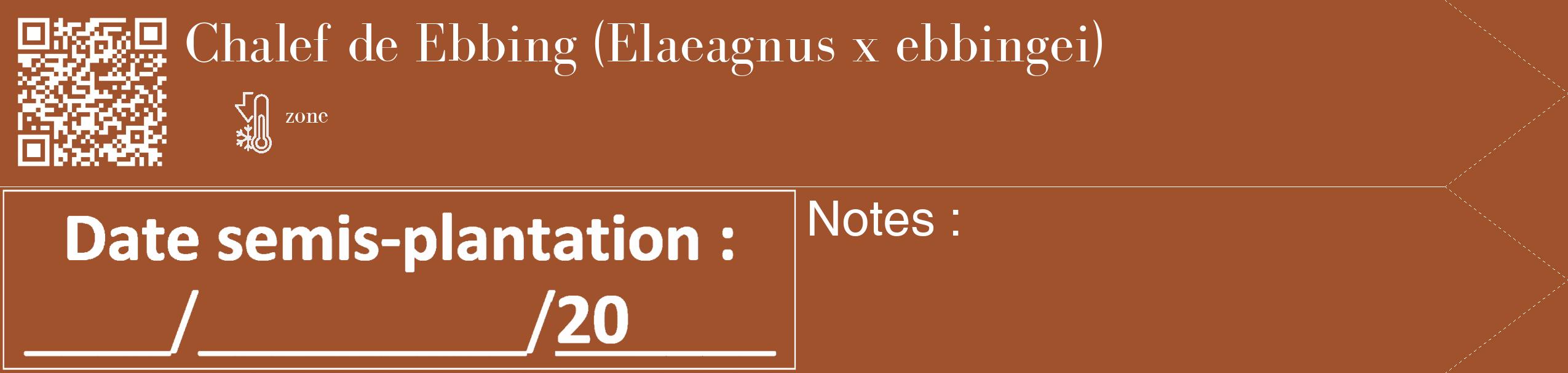 Étiquette de : Elaeagnus x ebbingei - format c - style blanche32_simple_simplebod avec qrcode et comestibilité
