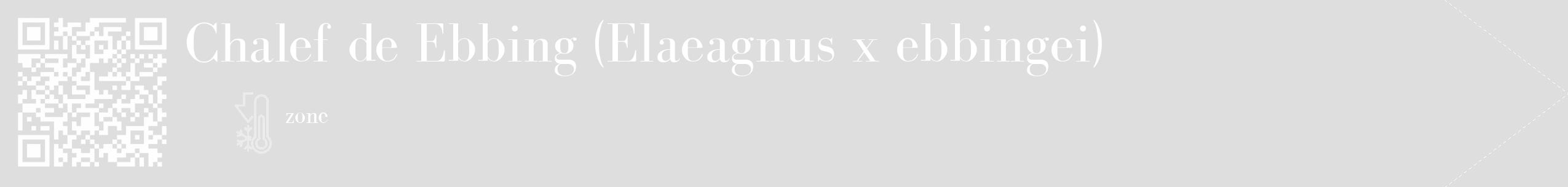 Étiquette de : Elaeagnus x ebbingei - format c - style blanche20_simple_simplebod avec qrcode et comestibilité
