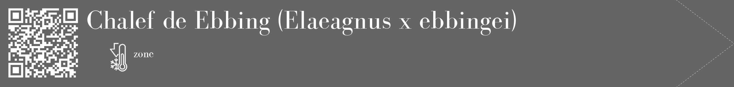 Étiquette de : Elaeagnus x ebbingei - format c - style blanche32_simple_simplebod avec qrcode et comestibilité