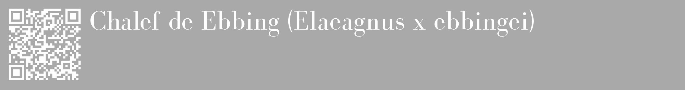 Étiquette de : Elaeagnus x ebbingei - format c - style blanche13_basique_basiquebod avec qrcode et comestibilité