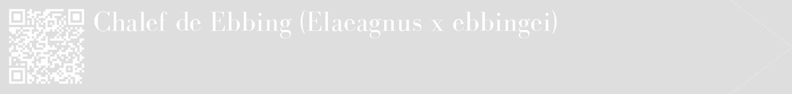 Étiquette de : Elaeagnus x ebbingei - format c - style blanche20_simple_simplebod avec qrcode et comestibilité