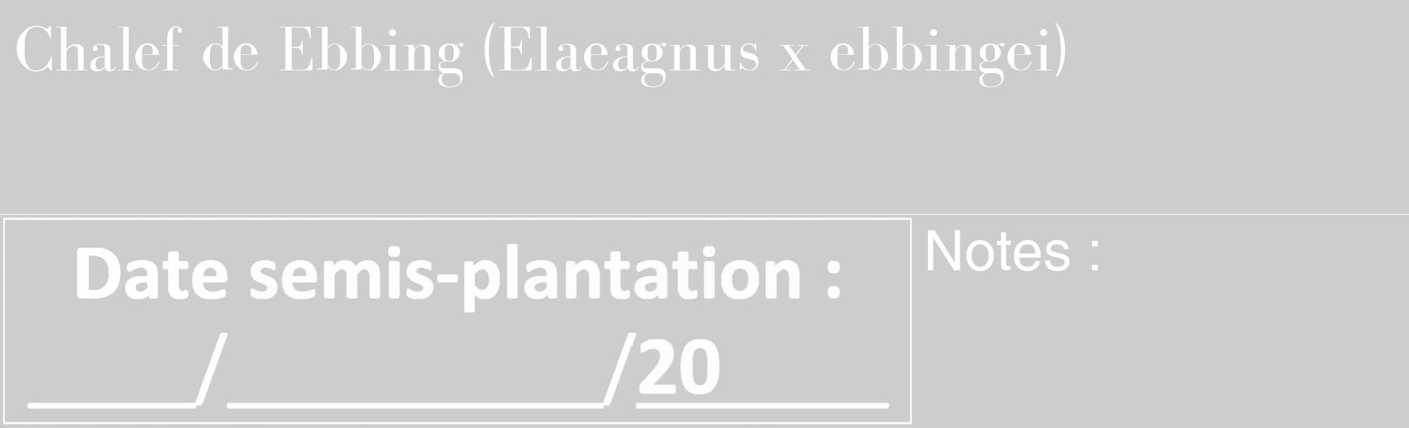 Étiquette de : Elaeagnus x ebbingei - format c - style blanche41_basique_basiquebod avec comestibilité