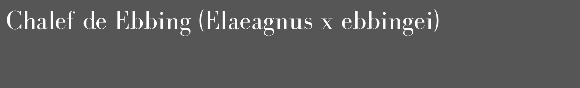 Étiquette de : Elaeagnus x ebbingei - format c - style blanche45_basique_basiquebod avec comestibilité