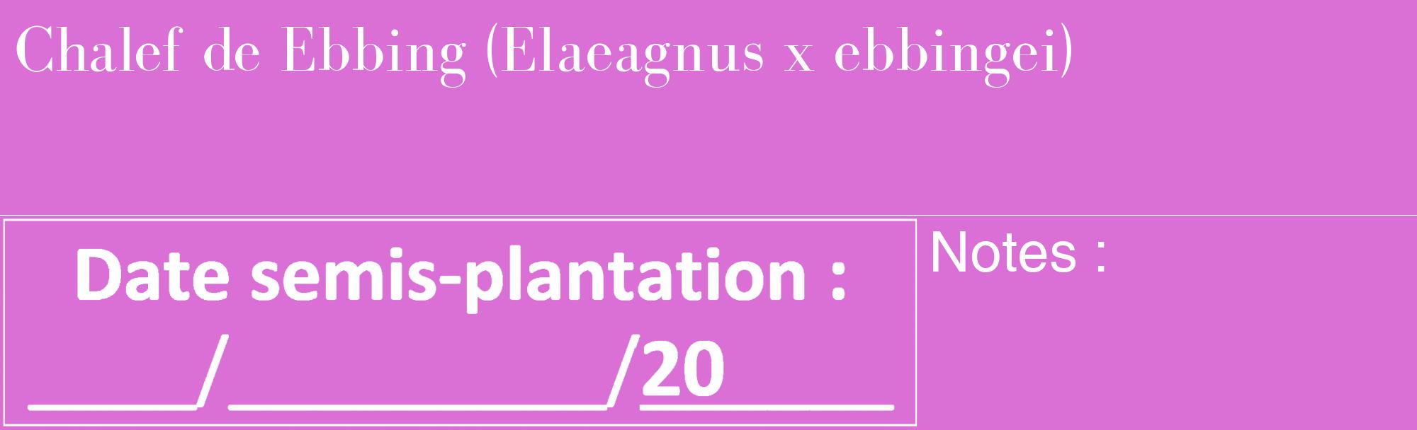 Étiquette de : Elaeagnus x ebbingei - format c - style blanche52_basique_basiquebod avec comestibilité