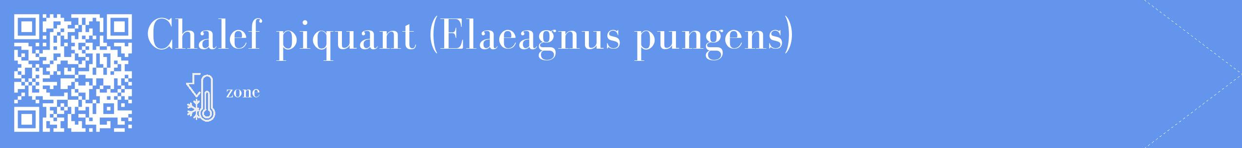 Étiquette de : Elaeagnus pungens - format c - style blanche4_simple_simplebod avec qrcode et comestibilité