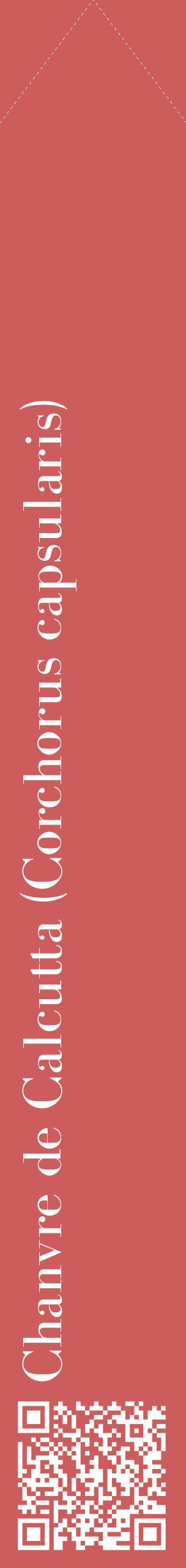 Étiquette de : Corchorus capsularis - format c - style blanche35_simplebod avec qrcode et comestibilité
