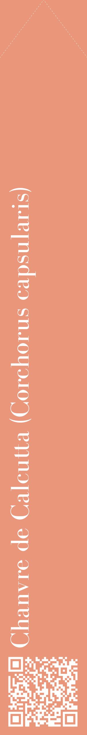 Étiquette de : Corchorus capsularis - format c - style blanche37_simplebod avec qrcode et comestibilité