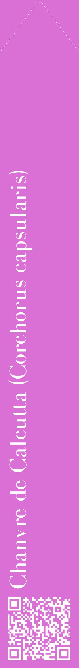 Étiquette de : Corchorus capsularis - format c - style blanche52_simplebod avec qrcode et comestibilité