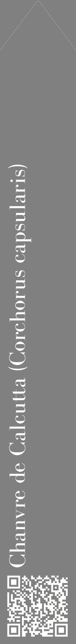 Étiquette de : Corchorus capsularis - format c - style blanche57_simplebod avec qrcode et comestibilité