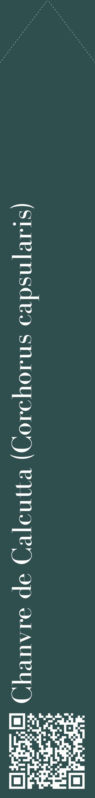 Étiquette de : Corchorus capsularis - format c - style blanche58_simplebod avec qrcode et comestibilité
