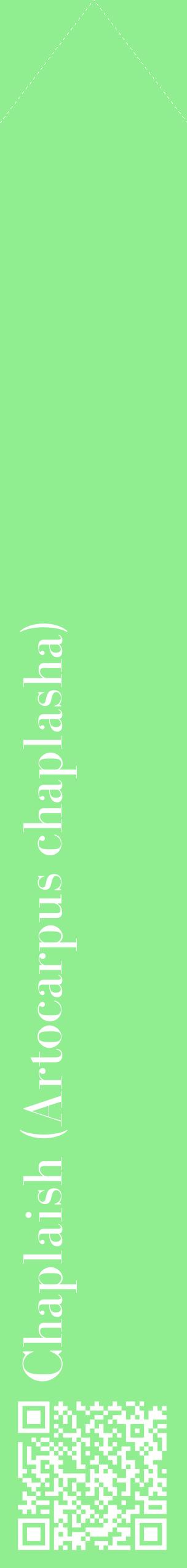 Étiquette de : Artocarpus chaplasha - format c - style blanche15_simplebod avec qrcode et comestibilité