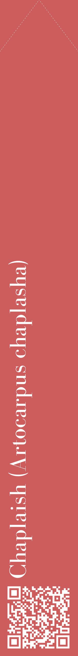 Étiquette de : Artocarpus chaplasha - format c - style blanche35_simplebod avec qrcode et comestibilité