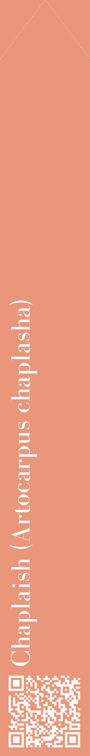 Étiquette de : Artocarpus chaplasha - format c - style blanche37_simplebod avec qrcode et comestibilité