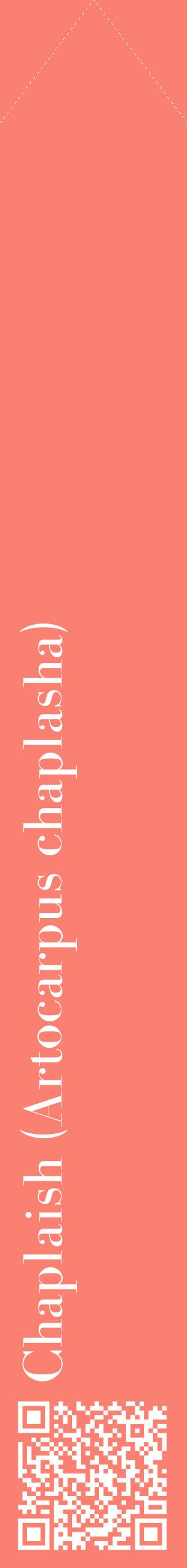 Étiquette de : Artocarpus chaplasha - format c - style blanche38_simplebod avec qrcode et comestibilité