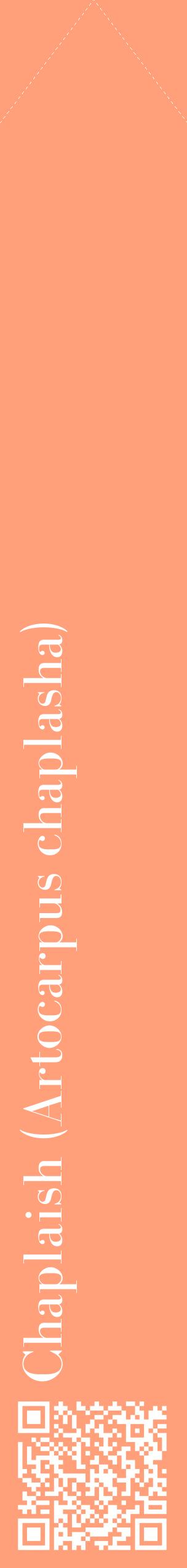 Étiquette de : Artocarpus chaplasha - format c - style blanche39_simplebod avec qrcode et comestibilité