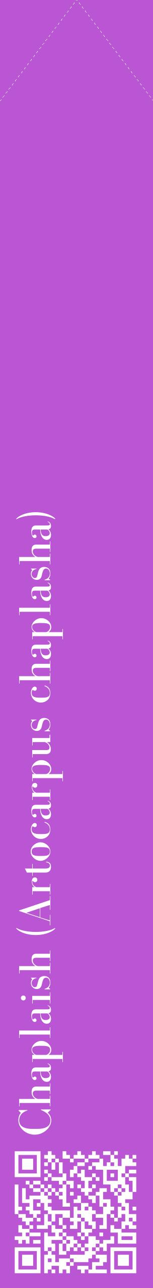 Étiquette de : Artocarpus chaplasha - format c - style blanche50_simplebod avec qrcode et comestibilité