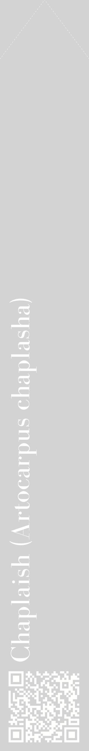 Étiquette de : Artocarpus chaplasha - format c - style blanche56_simplebod avec qrcode et comestibilité