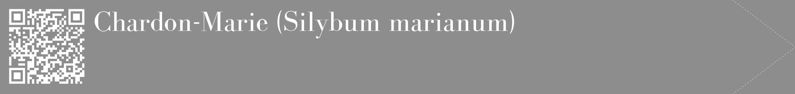 Étiquette de : Silybum marianum - format c - style blanche2_simple_simplebod avec qrcode et comestibilité
