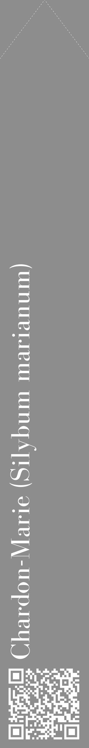 Étiquette de : Silybum marianum - format c - style blanche2_simple_simplebod avec qrcode et comestibilité - position verticale