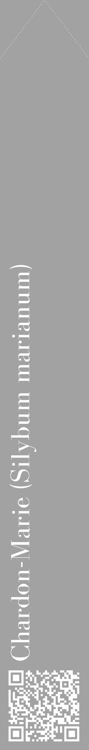 Étiquette de : Silybum marianum - format c - style blanche38_simple_simplebod avec qrcode et comestibilité - position verticale