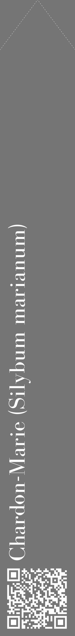 Étiquette de : Silybum marianum - format c - style blanche5_simple_simplebod avec qrcode et comestibilité - position verticale