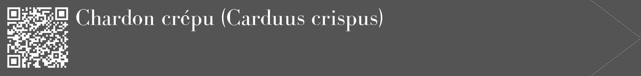 Étiquette de : Carduus crispus - format c - style blanche36_simple_simplebod avec qrcode et comestibilité