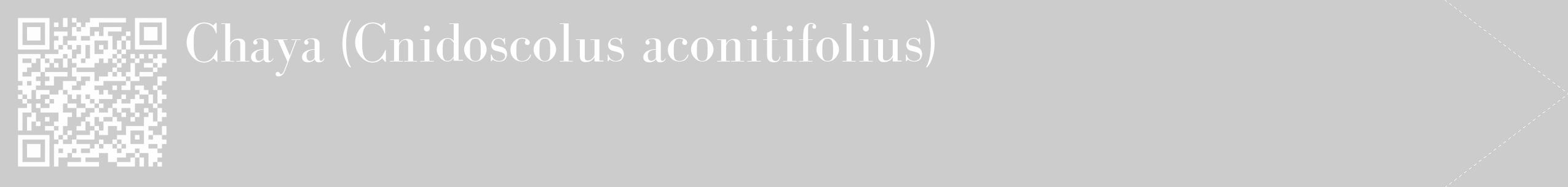 Étiquette de : Cnidoscolus aconitifolius - format c - style blanche0_simple_simplebod avec qrcode et comestibilité