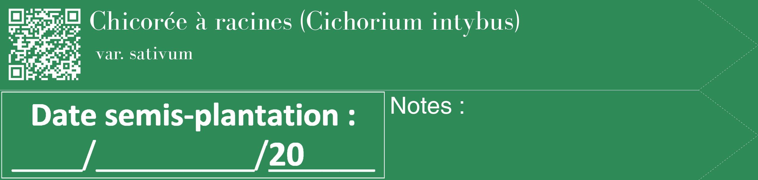 Étiquette de : Cichorium intybus var. sativum - format c - style blanche11_simple_simplebod avec qrcode et comestibilité