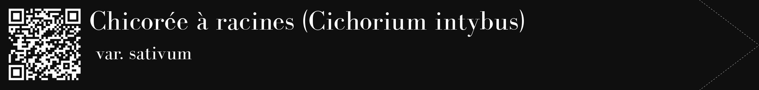 Étiquette de : Cichorium intybus var. sativum - format c - style blanche7_simple_simplebod avec qrcode et comestibilité