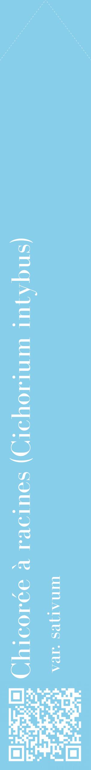 Étiquette de : Cichorium intybus var. sativum - format c - style blanche1_simplebod avec qrcode et comestibilité