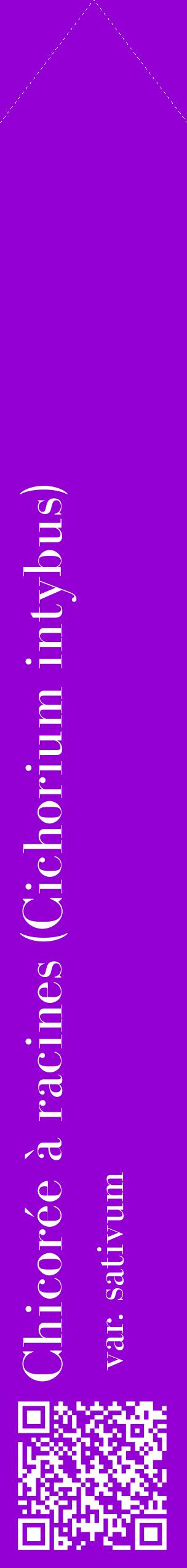 Étiquette de : Cichorium intybus var. sativum - format c - style blanche48_simplebod avec qrcode et comestibilité