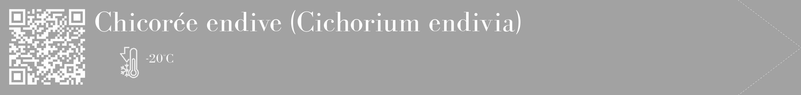Étiquette de : Cichorium endivia - format c - style blanche38_simple_simplebod avec qrcode et comestibilité