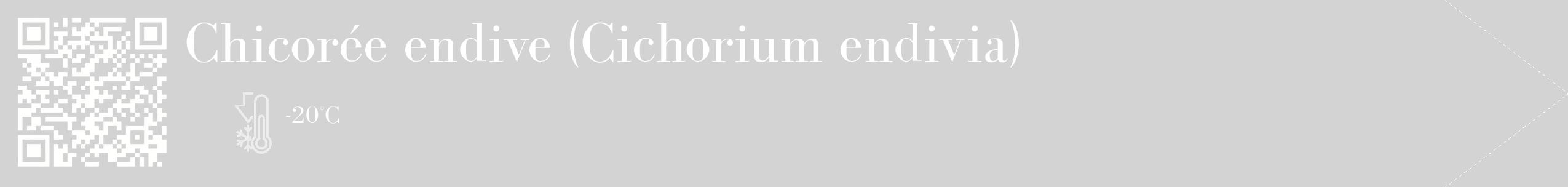 Étiquette de : Cichorium endivia - format c - style blanche56_simple_simplebod avec qrcode et comestibilité