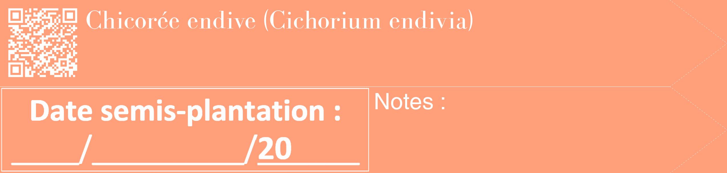 Étiquette de : Cichorium endivia - format c - style blanche39_simple_simplebod avec qrcode et comestibilité