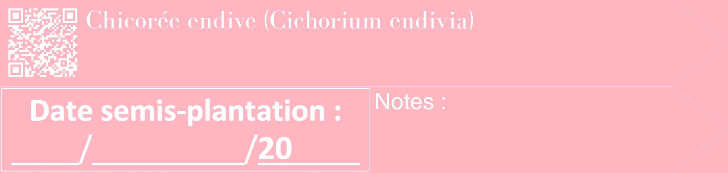 Étiquette de : Cichorium endivia - format c - style blanche41_simple_simplebod avec qrcode et comestibilité
