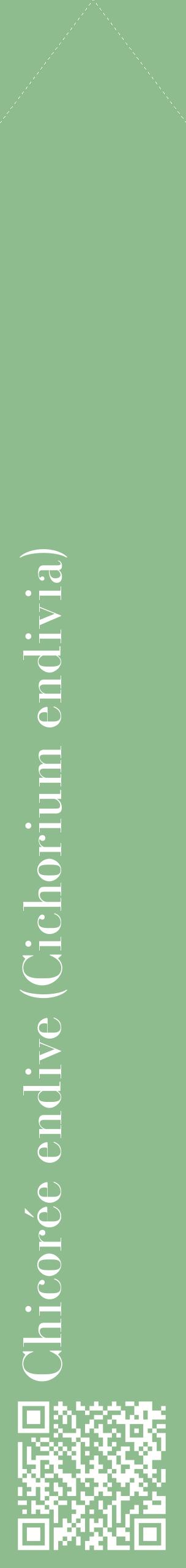 Étiquette de : Cichorium endivia - format c - style blanche13_simplebod avec qrcode et comestibilité