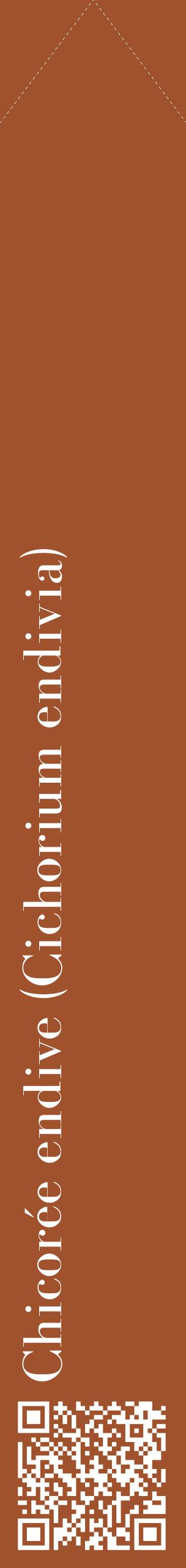 Étiquette de : Cichorium endivia - format c - style blanche32_simplebod avec qrcode et comestibilité